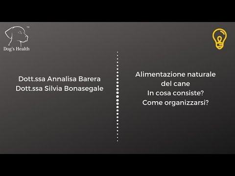 Video: 7 Motivi Per Cui Il Tuo Cane Potrebbe Aver Bisogno Di Una Dieta Terapeutica