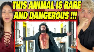 ANIMAL (OFFICIAL TRAILER): Ranbir Kapoor | FIRST TIME WATCHING