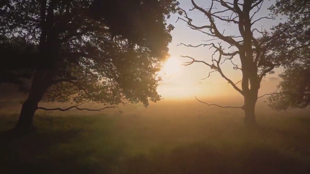 Tom Ash - Sticks and Stones