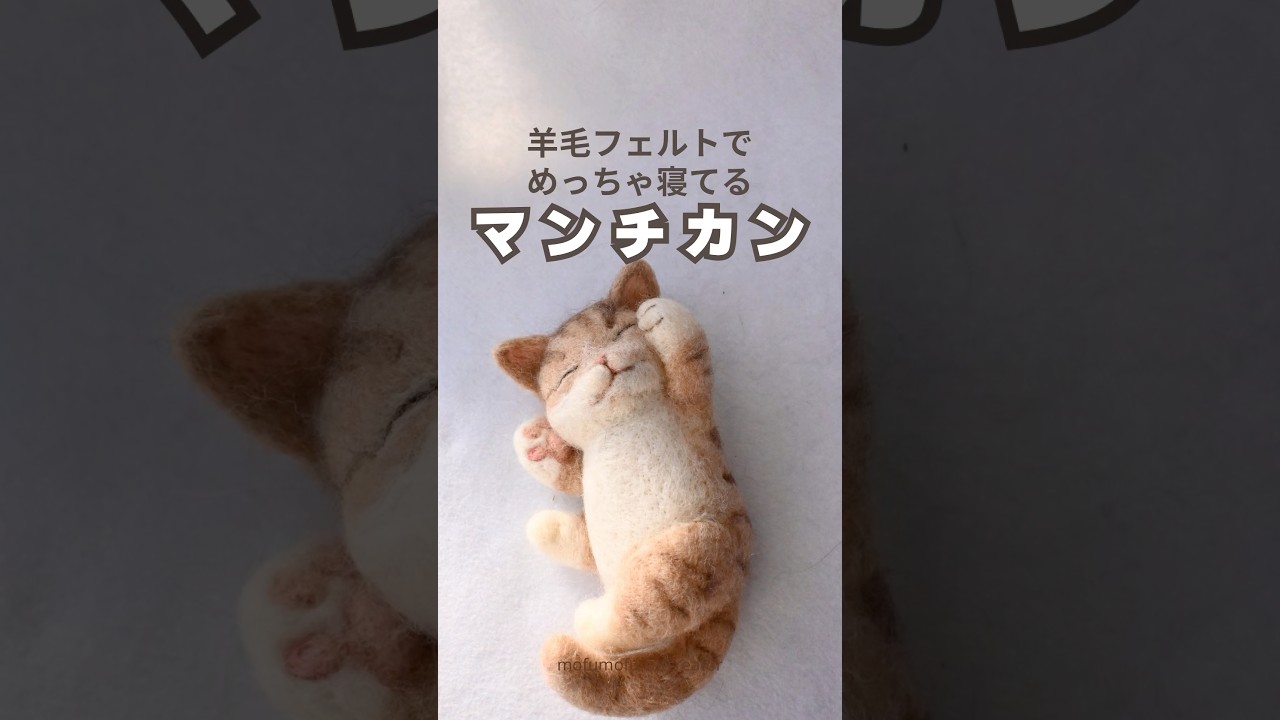 羊毛フェルトでめっちゃ寝てるマンチカン#羊毛フェルト #マンチカン#猫