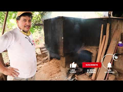 Video: ¿Cómo se secan los troncos en el horno?