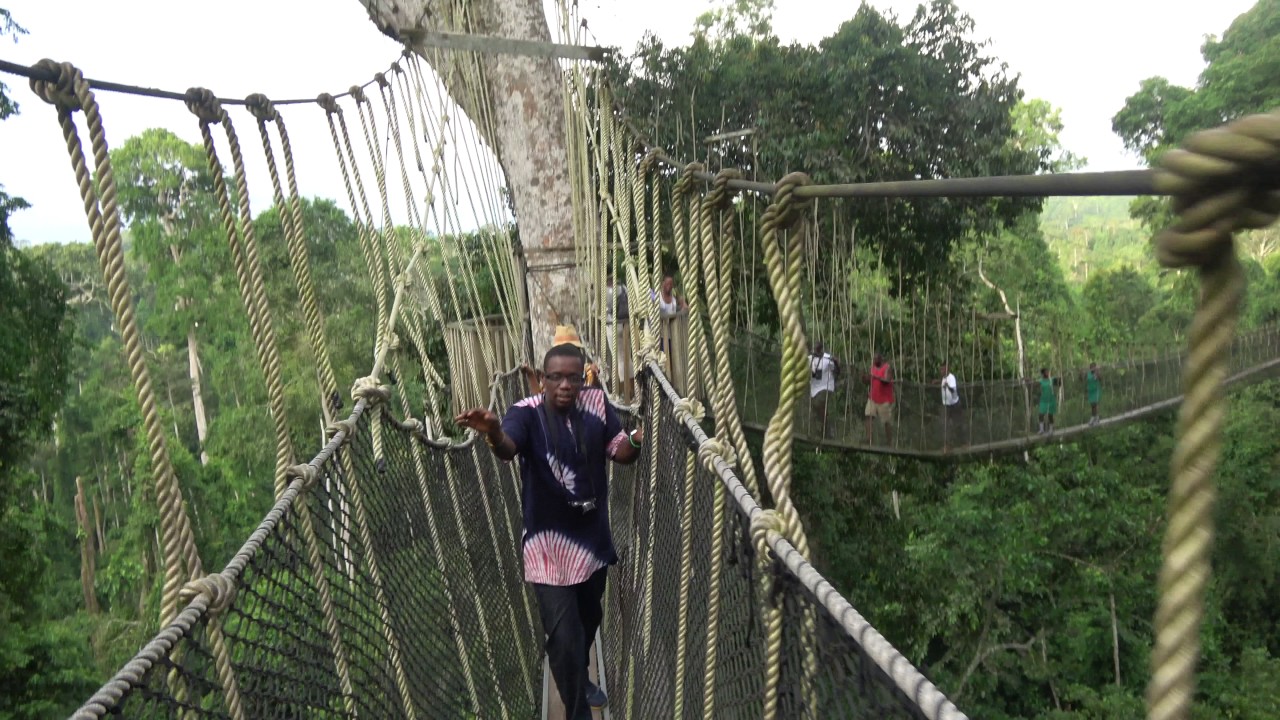 canopy tour ghana