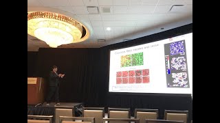 Daniel Cárdenas - Becado en la Universidad de Carolina del Norte screenshot 4