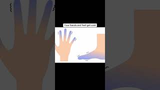 What your body does when it's in danger #viral #viralvideo #viralshorts #fypシ゚viral #trendingfear
