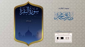 سورة البقرة بصوت القارئ طارق محمد