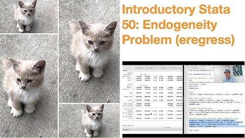 Introductory Stata 50: Endogeneity Problem (eregress)