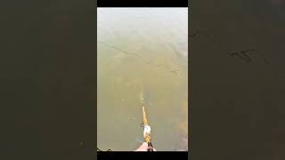 Will my New Fishing Blowpipe kit work?