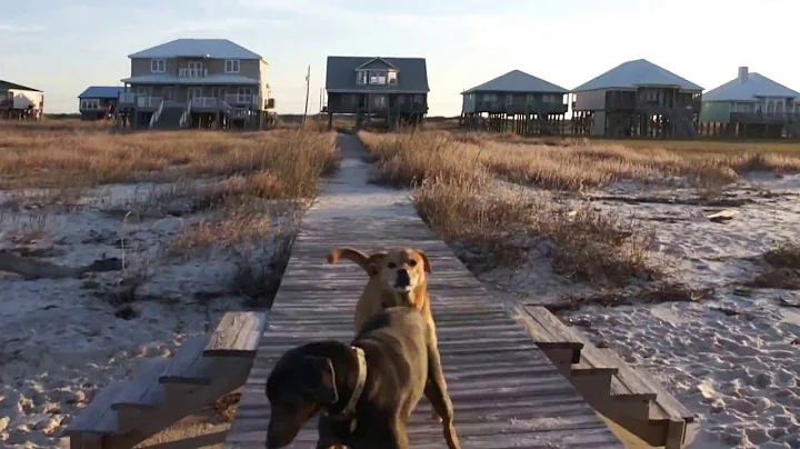 Fish Bones Rental House - Virtual Tour - Outdoors