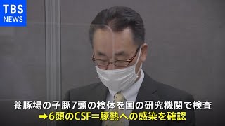 茨城・城里町で豚熱発生 県内で2例目