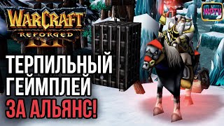 ТЕРПИЛЬНЫЙ ГЕЙМПЛЕЙ ЗА АЛЬЯНС: Warcraft 3 Reforged