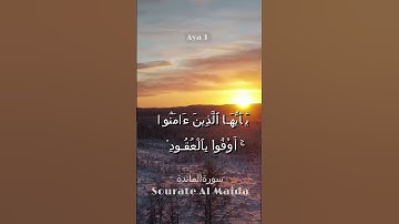 Sourate Al Maida - Sheikh Saad Al Ghamdi سورة المائدة