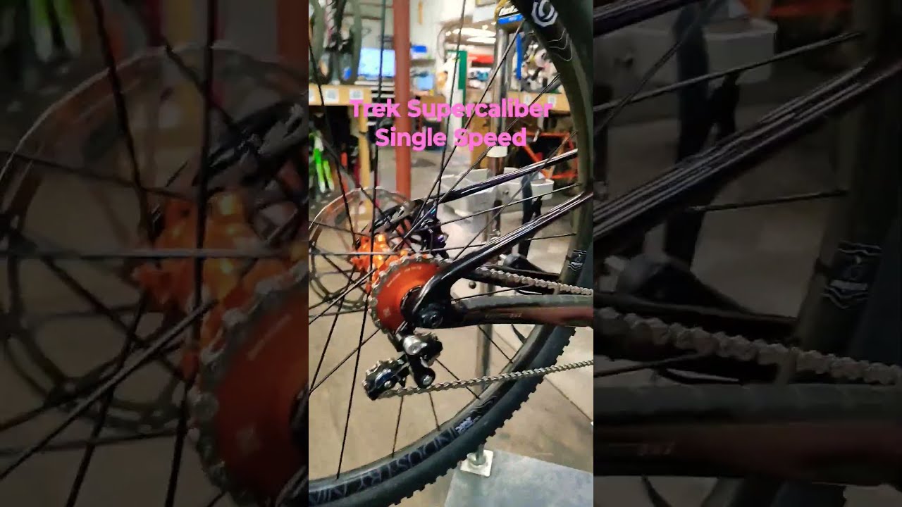 Endless bike co hotsell