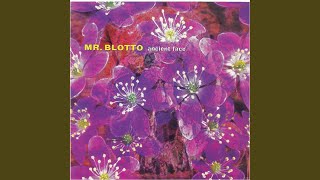 Video thumbnail of "Mr. Blotto - On the Tracks"