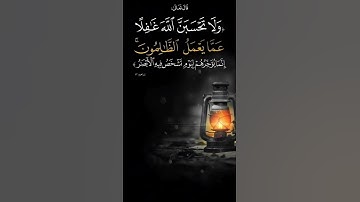 سورة المؤمنون للقارئ ياسر الدوسري صوت عذب قرآن #quran #اكسبلور #قرآن #قران_كريم #ياسر_الدوسري #راحة