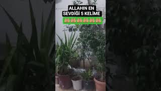 Allahin En Sevdi̇ği̇ 5 Keli̇me