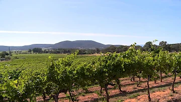 History of Tumbarumba with Cathy Gairn