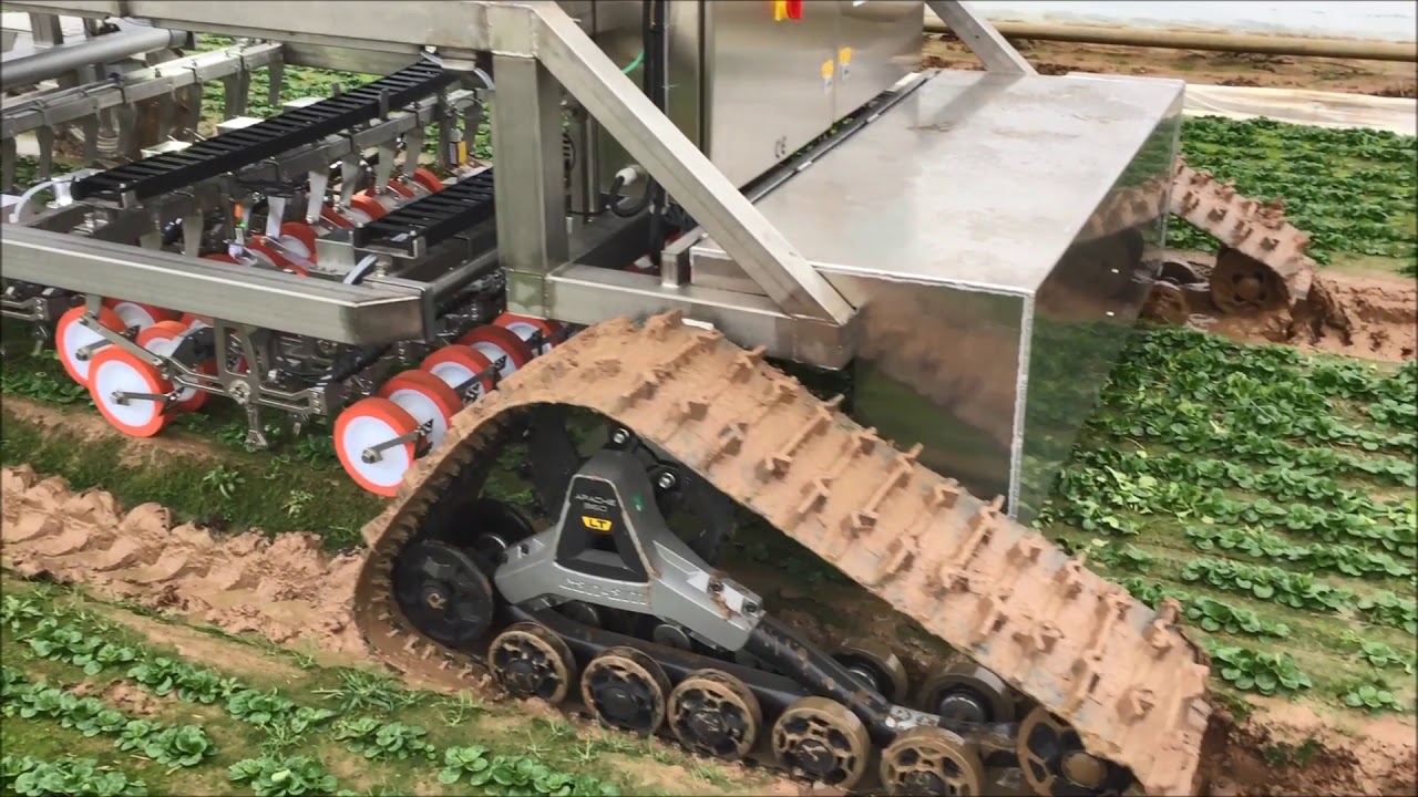 Feldsalatschneider Version 2 0