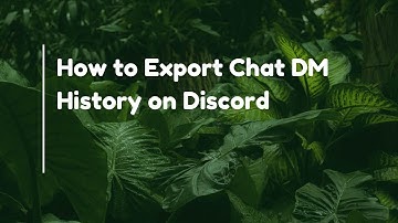 How to Export Chat DM History on Discord