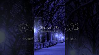 قال رب اشرح لي صدري ويسر لي أمري واحلل عقدة من لساني يفقه قولي.