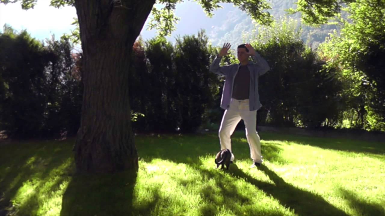 Qigong 5 postures fixes (5 standing postures) Zhan Zhuang YouTube