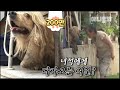 "강아지가 몸에 돌 같은 걸 매달고 있어요" ㅣ "Dog Carries A Stone-Like Thingy On His Body"