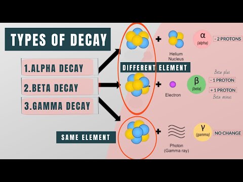 Video: Kuo skilimas skiriasi nuo alfa ar beta skilimo?