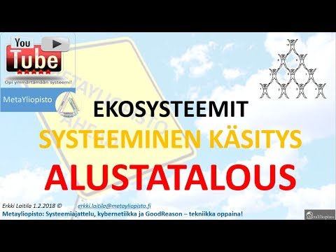 Video: Teoreettisesta näkökulmasta?