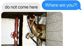 The Shed Incident Found Footage