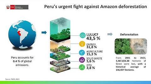 Climate Action and Indigenous Leadership | COP30 Peru Resilience Hub