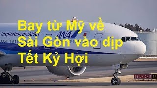 Bay từ Mỹ về Sài Gòn vào dịp Tết Kỷ Hợi