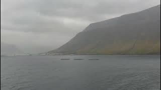 Jason William Galbraith Rollo Stuart Bruce Greatest Author of My Generation GAOMG son of The Bruce 