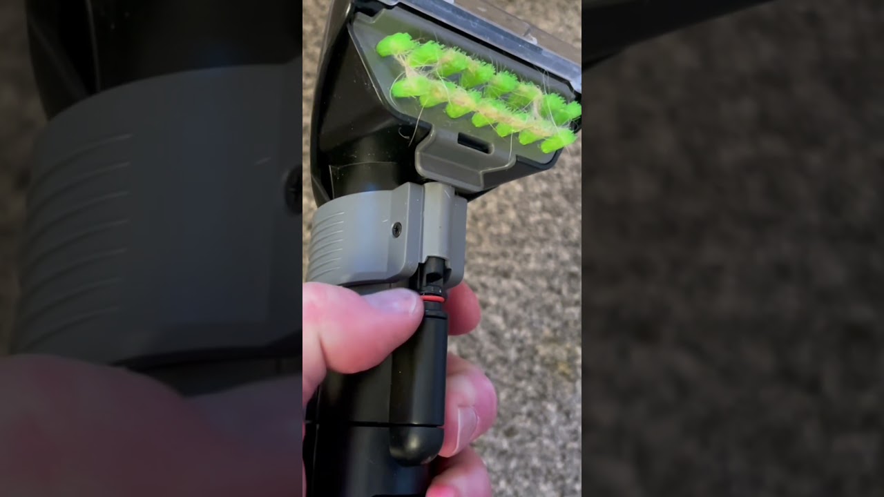 How to Clean Pet Stains- Bissell Green Machine