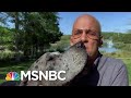 Deadline: White House Gets A Special Canine Guest | Deadline | MSNBC