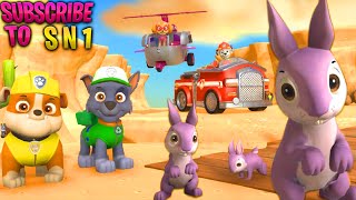 PAW PATROL Season 3- Full Episodes - 60 Minute Compilation