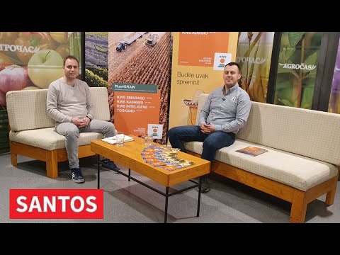 PERSPEKTIVNI HIBRIDI KUKURUZA I SUNCOKRETA KOMPANIJE "KWS" PERSPEKTIVNI HIBRIDI KUKURUZA I SUNCOKRETA KOMPANIJE "KWS"
