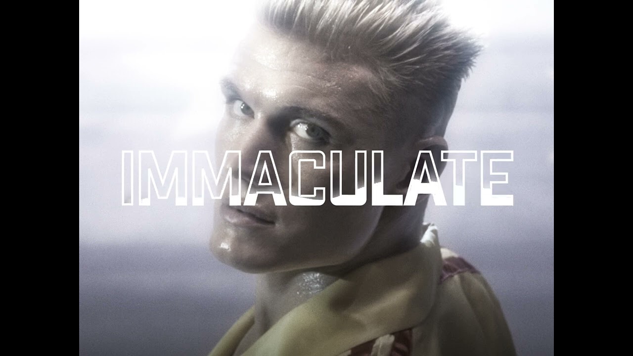 VISXGE - IMMACULATE (slowed)