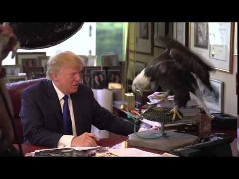 Donald Trump vs eagle
