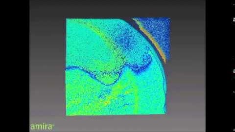 Quantitative single-mode fiber based PS-OCT with single input polarization state using Mueller...