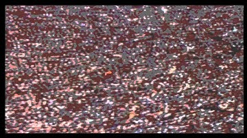 Rogue Robot - SuBSynK.wmv