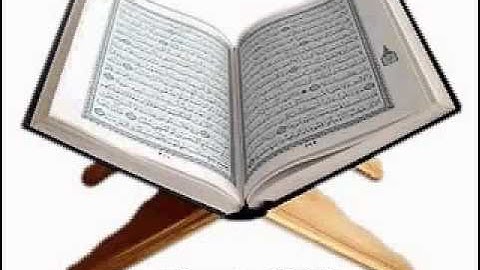 تلاوه خاشعه من سورة فصلت بصوت نايف السالم   YouTube
