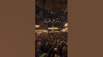قرآن كريم القارئ ريان المحيسني