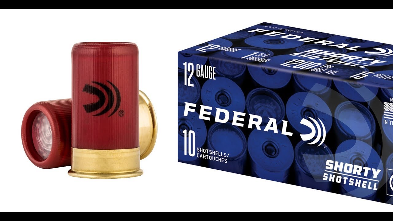 Federal Shorty 12-Gauge Ammo Evaluation - Guns and Ammo.