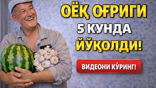 Оёк Огрик 5-Кунда Йуколди
