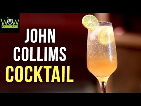 John Collims Cocktail Recipe | Simple Homemade Cocktail Recipes | Easy to Make Drinks | Wow Recipes
