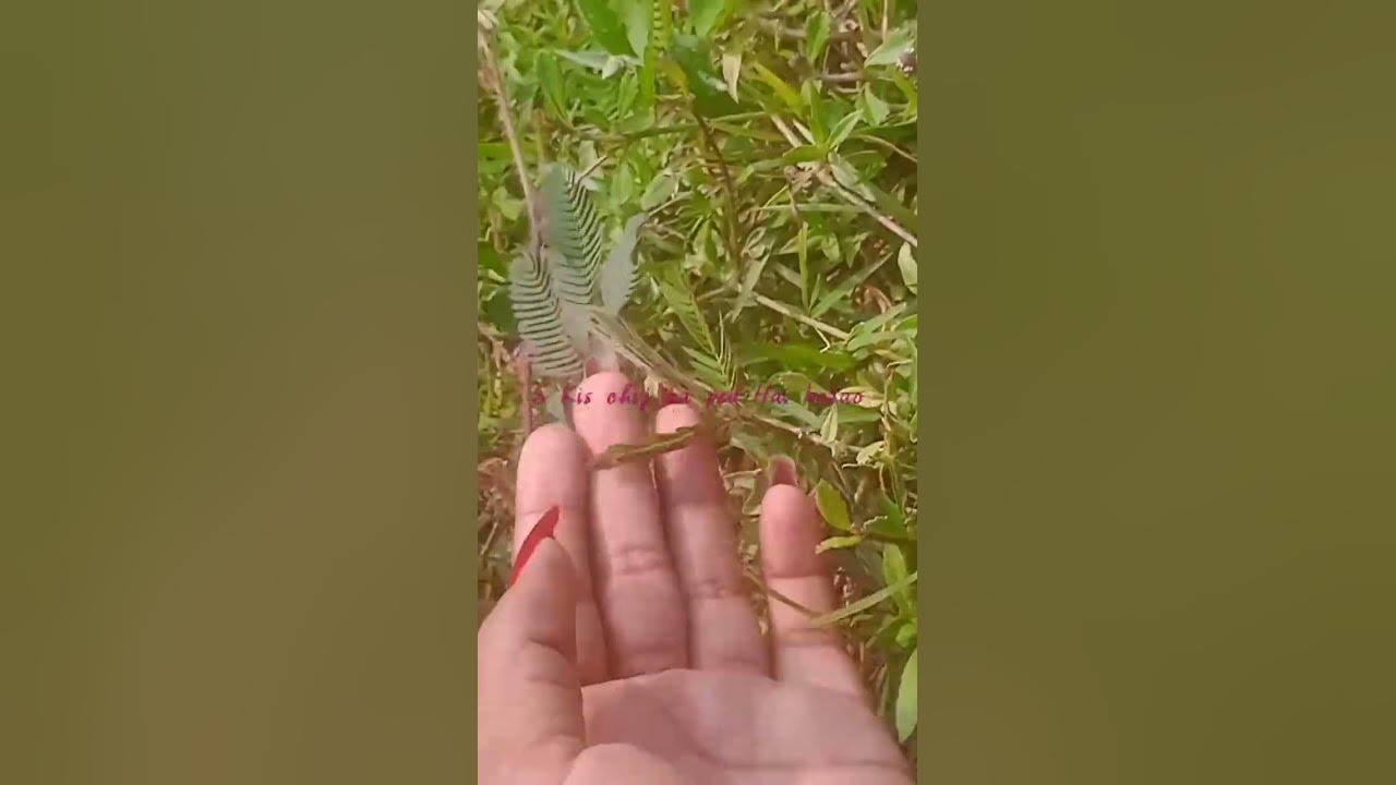 Kis Chij Ka Pata Hai Comment Mein Batao YouTube kis-chij-ka-pata-hai-comment-mein-batao-youtube