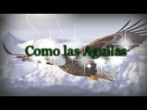 Como las águilas - Musica Cristiana - YouTube