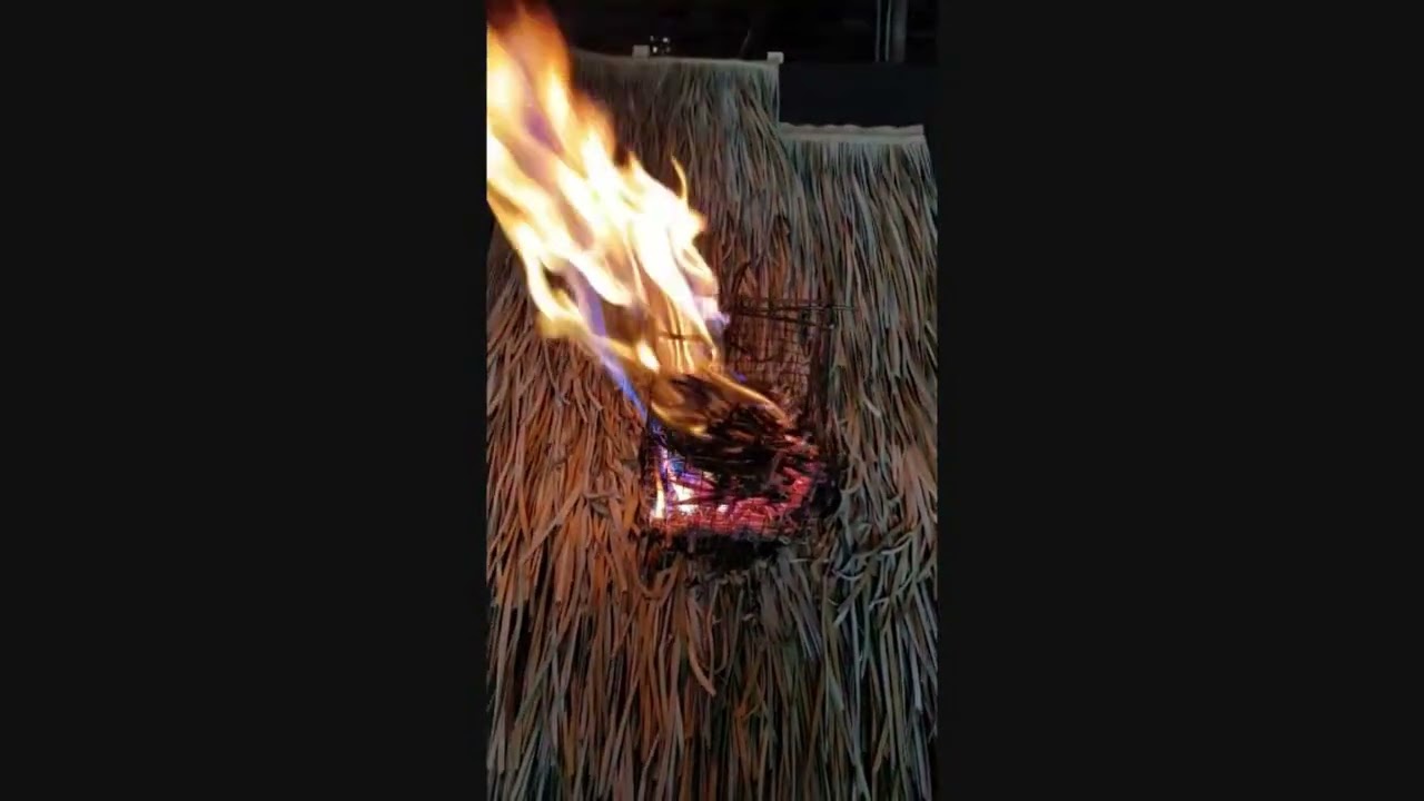 Winroyal Reed Thatch Fire Test