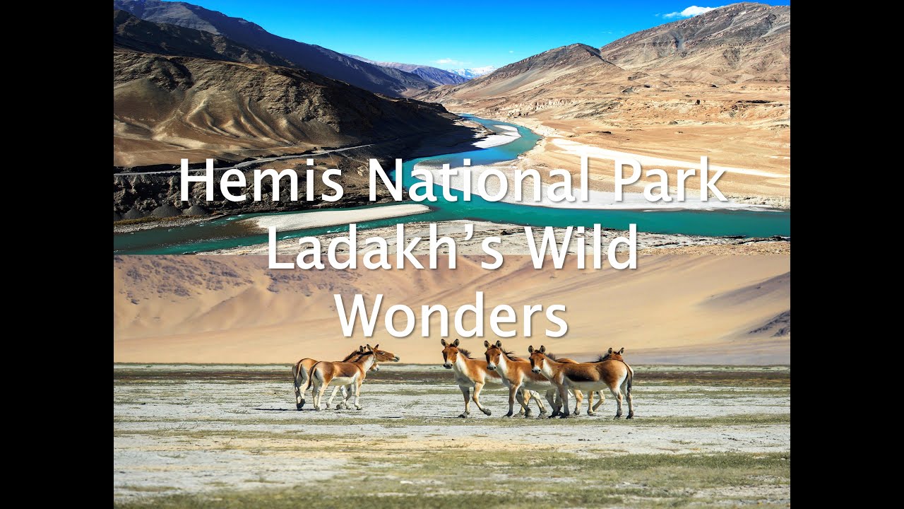 Hemis National Park: Ladakh’s Wild Wonderland! by SENTHILKUMAR