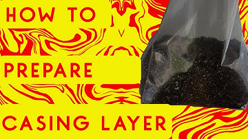 How to prepare a casing Layer