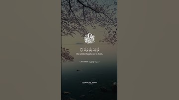 سورة الاخلاص-Al-Ikhlas بصوت القارئ الشيخ عبد الباسط عبد الصمد